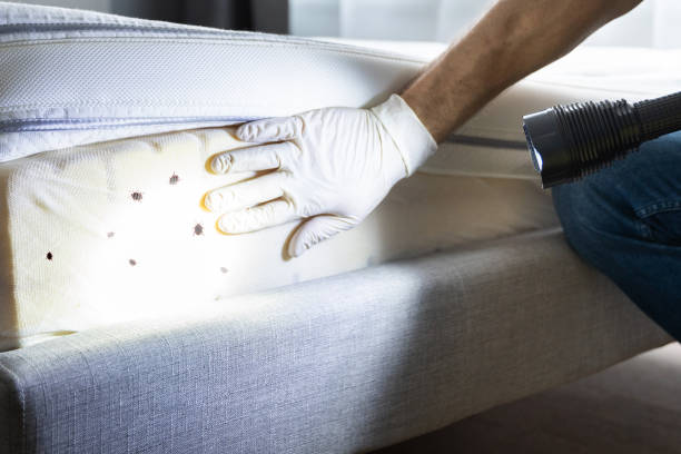Best Pest Inspection Near Me  in St Regis Park, KY